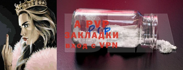 PSILOCYBIN Бронницы
