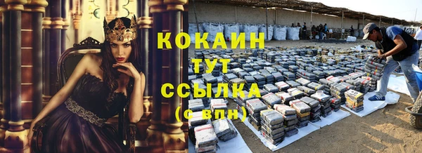 сатива Богородицк