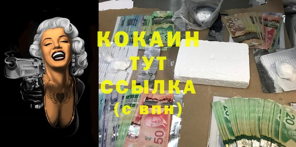 сатива Богородицк